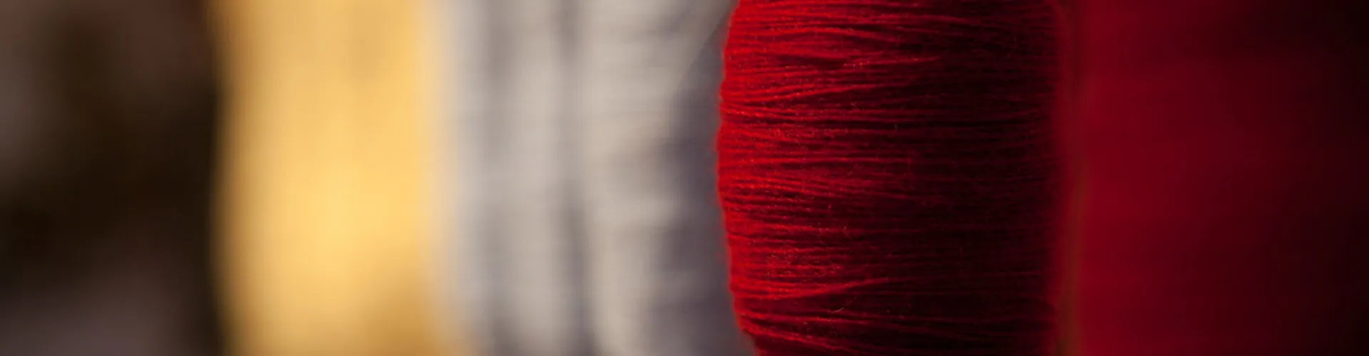 La canapa oggi