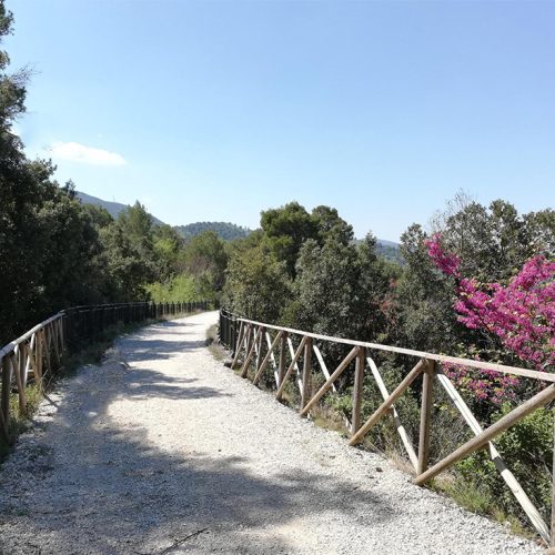 Ferrovia Spoleto Norcia
